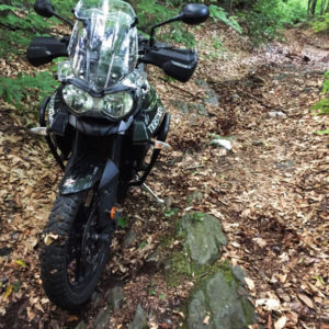 Steep, slippery and rocky...a bit difficult for the Tiger.